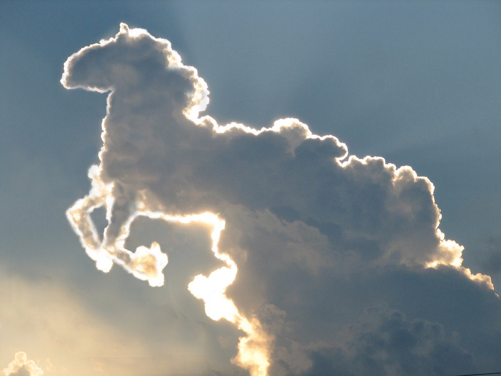 sky_horse_by_mtdewer-d2mitdj.jpg